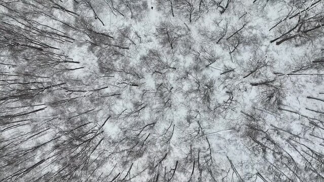 drone view over snow covered ground