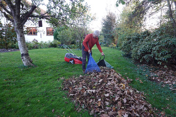 Laub rechen vor dem letzten Rasenschnitt