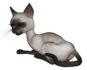 Siamese Cat 3D PNG Illustration 2