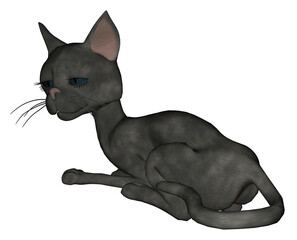 Black Cat 3D PNG Illustration 2