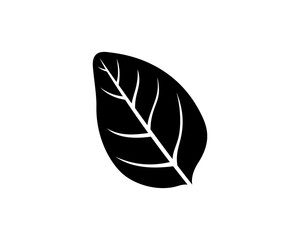 Basil leaf silhouette, black vector icon