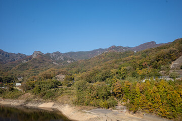 日本の香川県小豆島のとても美しい秋の紅葉
