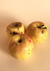 Rotten apple. Decay and food waste concept with photograph of unhealthy decayed bad apple isolated on background.