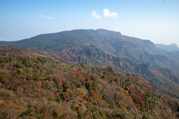 Obraz premium 日本の香川県小豆島のとても美しい秋の紅葉