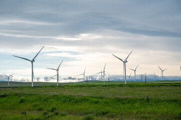 Wind turbines in open field, southern Alberta