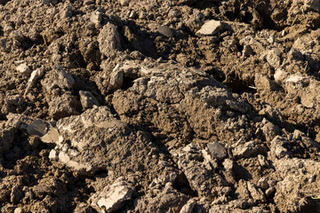 Processed plowed fertile soil in the field