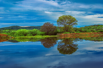 reflexo no lago