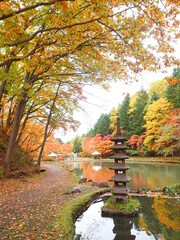 北海道の秋風景 紅櫻公園の紅葉