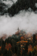 Autumn mountains in the fog, Tyrol, Austria. Incredible cloud-covered mountain scenery in overcast weather. A gray autumn mood in the mountains