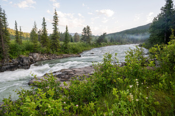 Flowing river in Castle Provincial Park, Alberta