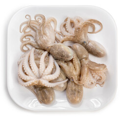 Fresh Octopus Squid in white plate isolated on white background, Fresh Octopus on white background with work path.