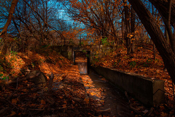 Naklejka premium lonely bridge 