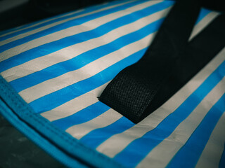 Bag with stripes