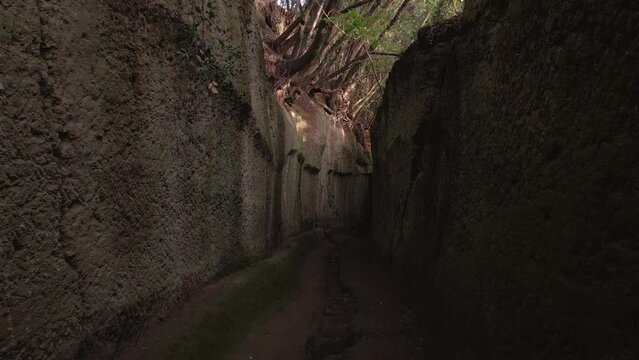 Flying through ancient Etruscan path way at famous Tuscany town Pitigliano, built on tufa rocks with old medieval buildings near scenic Siena and Florence, Italy, wine area. 4K UHD drone aerial view.