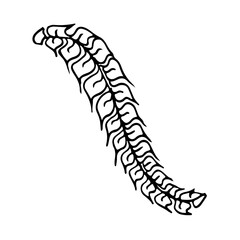 leaves, dooddle, lineart, vector, illustration, hand drawing