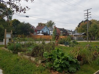 an urban farm in an old detroit neighborhood