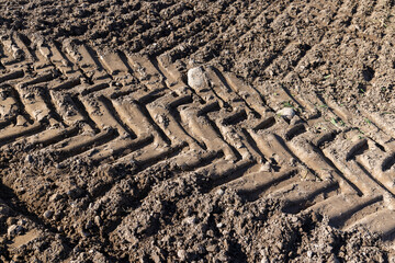 Traces of a tractor or other large machinery on the soil in the field