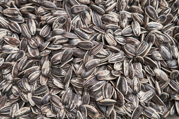 Beautiful sunflower seeds image