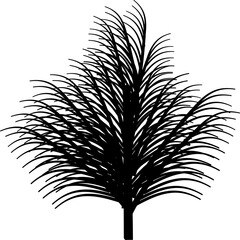 Obraz premium palm tree branches and leaves