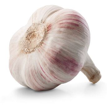 Garlic vegetables isolated on white background
