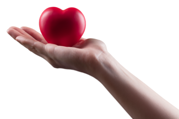 Businessman's hand holds medical a red heart isolated on white background