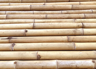 Bamboo fence background. Natural texture