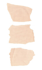 Scraps of squared paper on white background