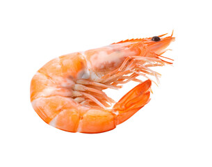 Cooked shrimps isolated on transparent png