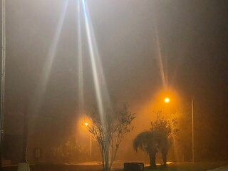 sun shining through the trees