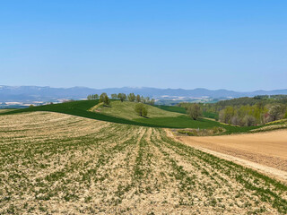 early spring hills and fields