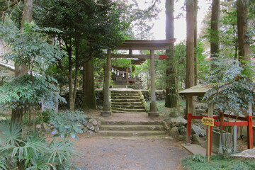 龍恩寺にある龍ヶ谷熊野神社／日本埼玉県入間郡