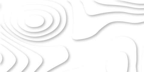 Obraz premium Abstract Luxury paper cut background, Abstract decoration, white pattern lines gradients, 3d Vector illustration, topographic canyon map light relief texture, curved layers.