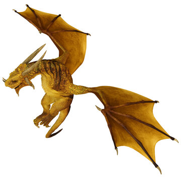3D Rendered Golden Wyvern - A Bipedal Dragon Isolated on Transparent Background - 3D Illustration