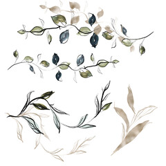Watercolor Greenery Branches Graceful Climbing Plants Golden Branches Branches for Wedding Invitations Graphic Pencil