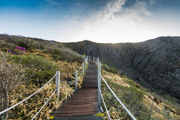 Fototapeta premium A long stretch of flag climbing Mt. Hallan in Jeju, South Korea