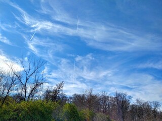 Obraz na płótnie Canvas Streaking Clouds in Bright November Afternoon Sky