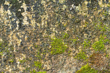 Authentic stone element abstract background. High resolution and quality. All natural patterns, no man made. Very good use for 3D skin and materials library.