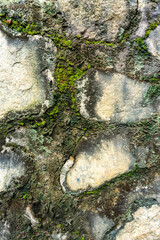 Authentic stone element abstract background. High resolution and quality. All natural patterns, no man made. Very good use for 3D skin and materials library.