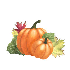 Ripe pumpkin, maple, poplar leaves and berries watercolor isolated on white. Hand drawn illustration for design