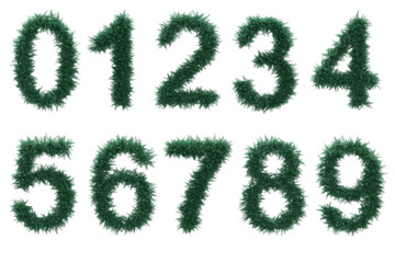 Numbers set from Christmas tree twigs on transparent background. Christmas alphabet. Numbers from Christmas tree branches without decorations. 3d illustration