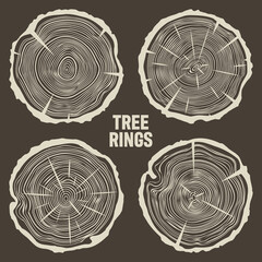 Round tree trunk cuts with cracks, sawn pine or oak slices, lumber. Saw cut timber, wood. Brown wooden texture with tree rings. Hand drawn sketch. Vector illustration