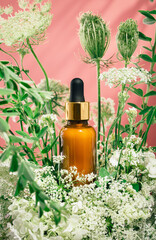 Cosmetic amber glass dropper bottle in fresh nature setup. Green leaves white flowers on pink....