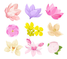 A set of delicate flowers on a white background. Cartoon design.