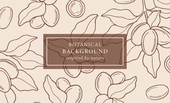 Hand drawn shea branch background