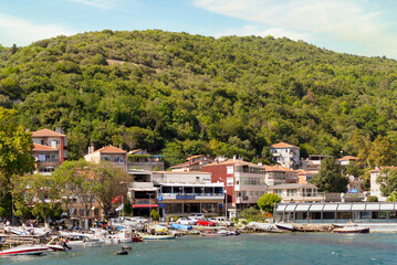 Fototapeta na wymiar View from Bosphorus strait of the green mountains of the Europian side, with docked boats, traditional houses and dense trees in a summer day, Istanbul, Turkey