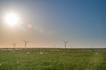Fototapeta na wymiar wind turbines farm in the field