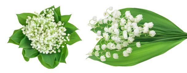  Lilly of the valley flowers isolated on white background with full depth of field. Top view © kolesnikovserg