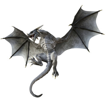 3D Rendered Grey Wyvern - A Bipedal Dragon Isolated on Transparent Background - 3D Illustration