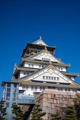 Fototapeta premium osaka castle in autumn