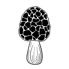 Murshroom outline. Vector Fairytale murshroom in  black and white doodle style. Design for a botanic, alchemy, tattoo, magic, witchcraft, tarot cards.